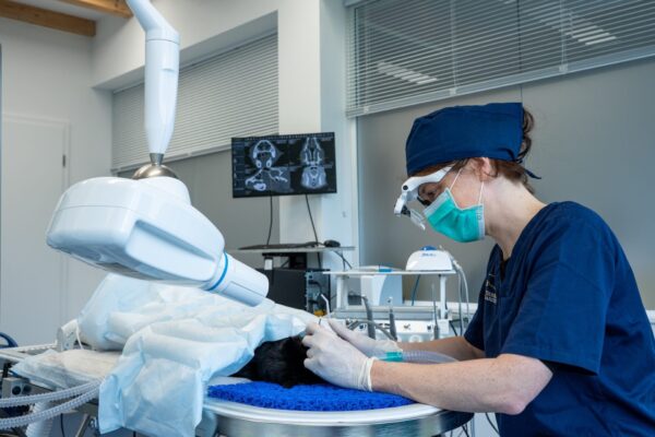 Imagebilder_Sarstedt-25